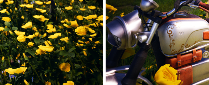 Third image