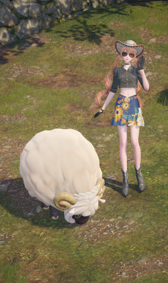 poppy (the cowgirl season) image