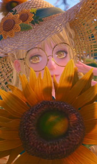 Sunflower fields image