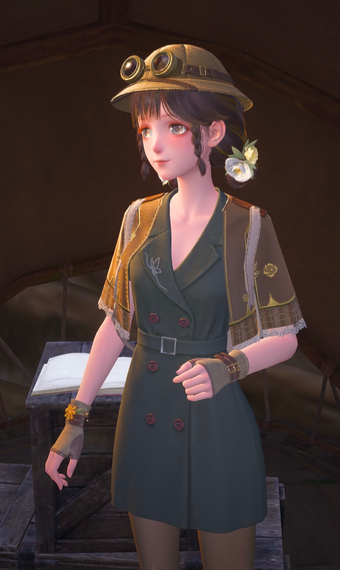 Little Explorer image