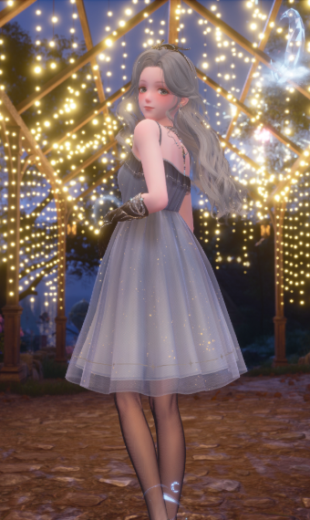 Party under the stars image