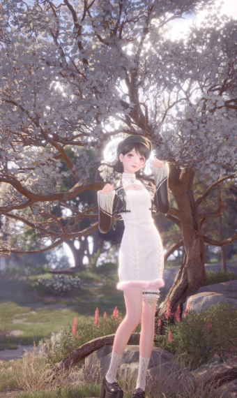 stylish sheep image