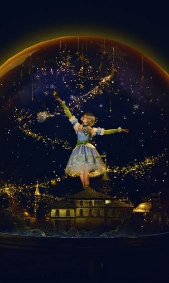 Dandelion doll design image