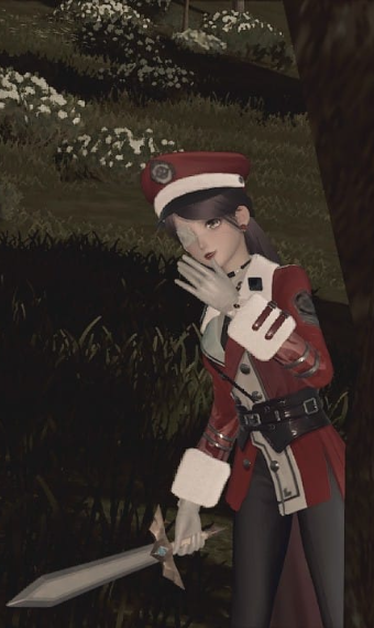 Assasin Nikki image