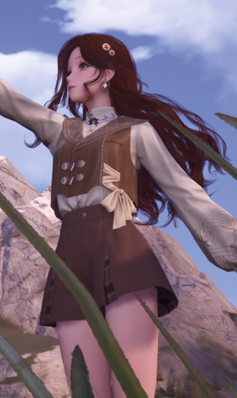 The Traveler image