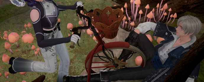 Third image