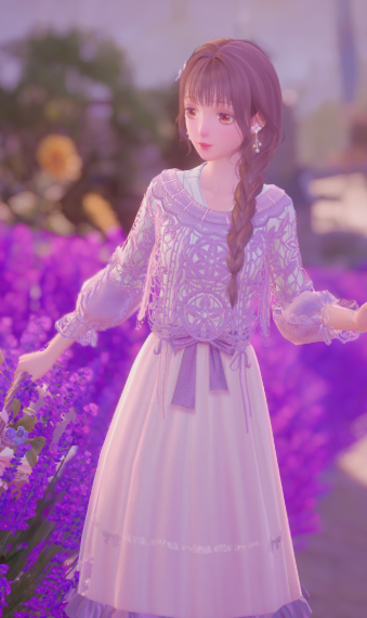 lavender fields image