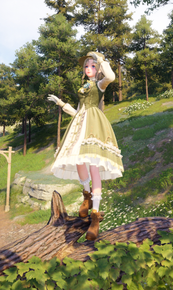 Day Trip to the Forest image