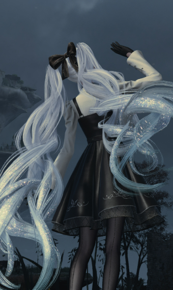 Black and White Beauty image