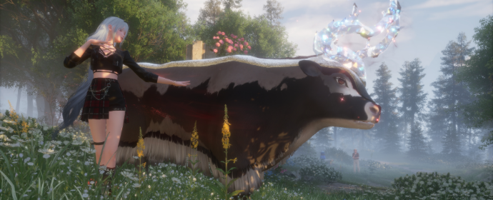 Third image