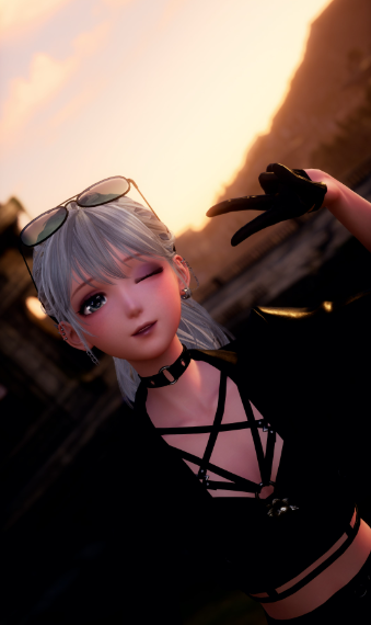 biker nikki image