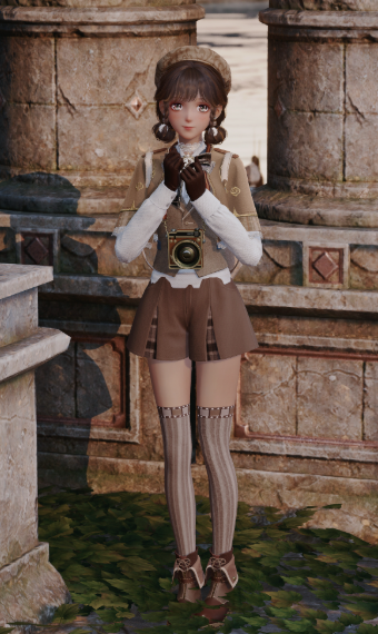 traveler explorer image