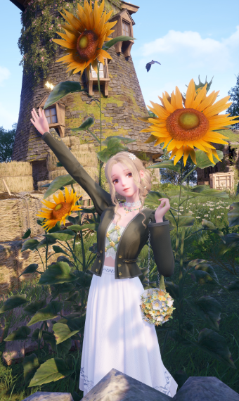 Yellow Flower Blossom image