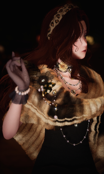Accompanying the Night image