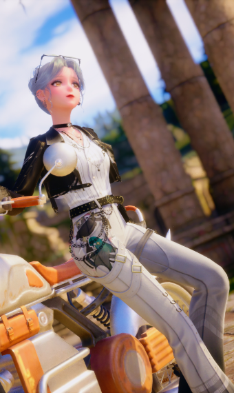 Soleneia image