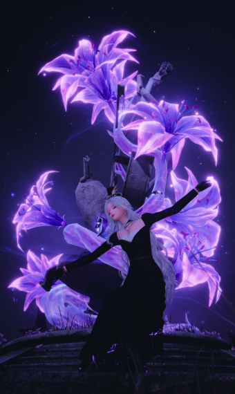 The Queen's Midnight image