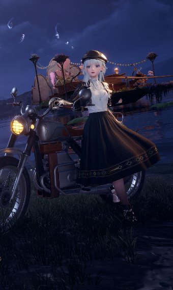 Traveler image