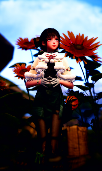 sweers image