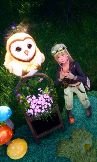 Look image