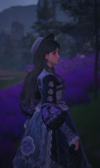 Lavender fields image