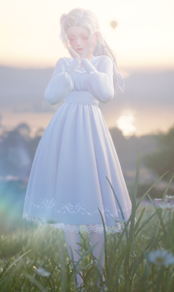 Lace Fields image