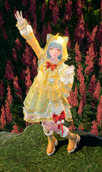 Momo's Friend image
