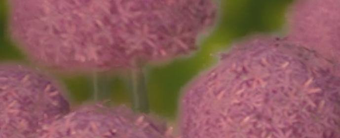 Third image