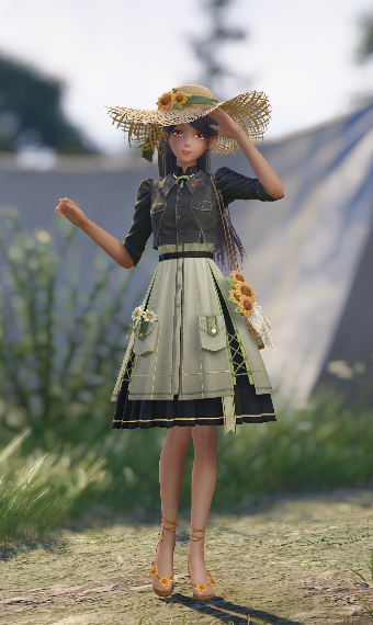 Sunflower dream image