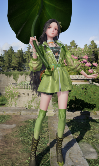 Frog nikki image
