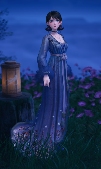 Midnight Dream image