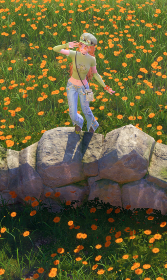 Sunny day walks image