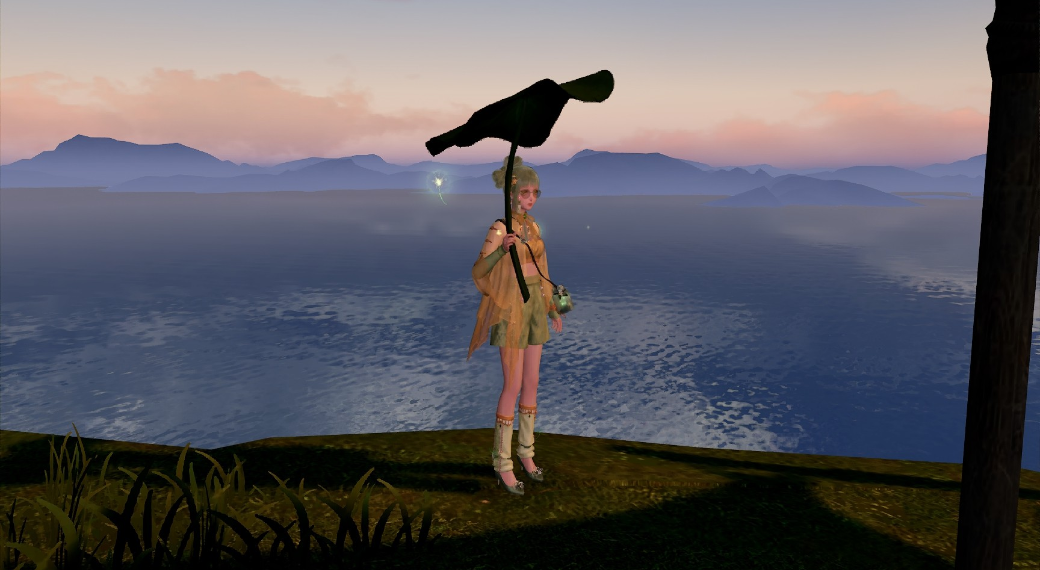 Look image