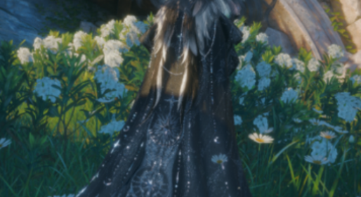 look image