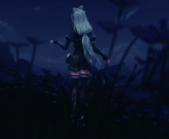 Second image