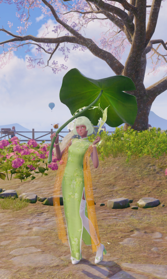 spring image