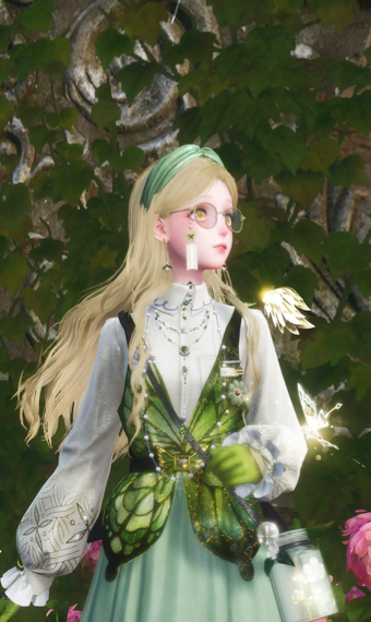 Butterfly catcher image