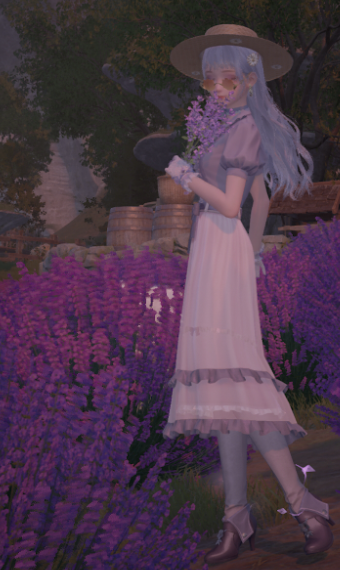 Lavenfringe Dreams image