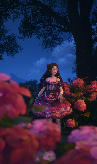 Curly Wonderland image