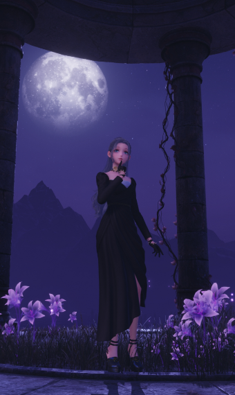 Moonlight Serenade image
