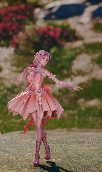 fairy ballerina image