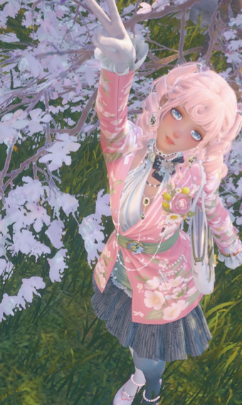 while the cherry blossoms bloom image