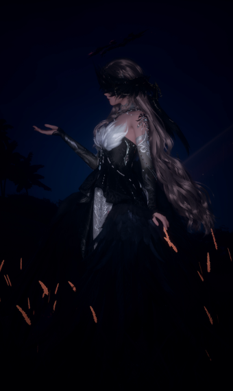 black bird image
