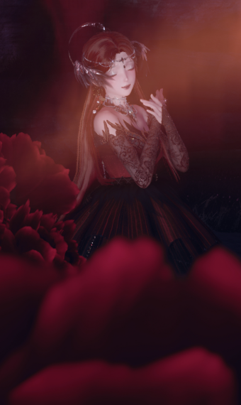 Rose & Feathers image