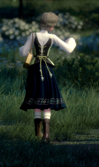 Dewdrop Wanderer image