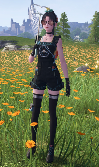 Look image