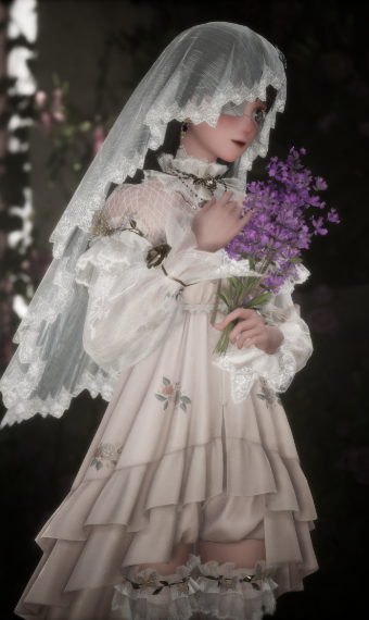 Veiled Fantasy image