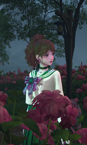 Sailor Jupiter image