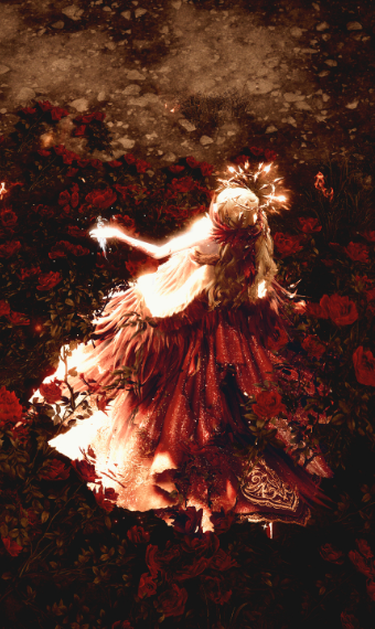 Reborn : Phoenix image