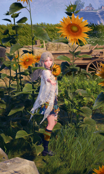 Sunflower <3 image