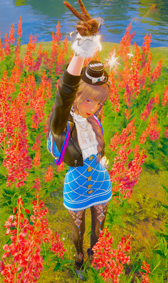 Starwish image